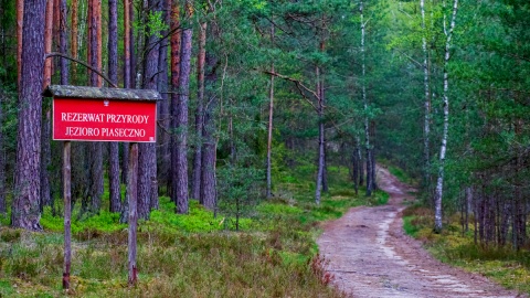Ścieżka ciszy we Wdeckim Parku Krajobrazowym. Fot. Piotr Szumigaj