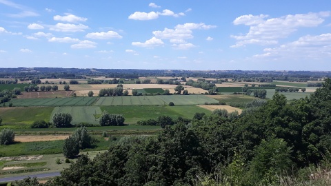 Dolina Dolnej Wisły. Fot. kujawsko-pomorskie.pl/zpkndw
