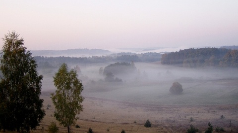 Dolina rzeki Brynicy. Fot. Piotr Witkowski