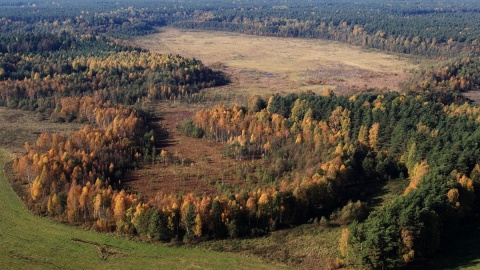 Rezerwat „Mszar Płociczno”. Fot. Daniel Pach/facebook.com/GorznienskoLidzbarskiParkKrajobrazowy