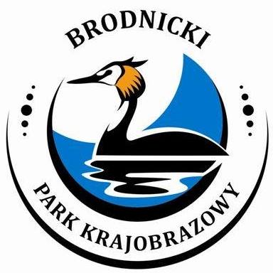 Perkoz dwuczuby w logotypie Brodnickiego Parku Krajobrazowego. Fot. facebook.com/Brodnicki-Park-Krajobrazowy