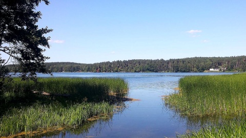 Jezioro Wielkie Partęczyny, największe jezioro Pojezierza Brodnickiego. Fot. facebook.com/Brodnicki-Park-Krajobrazowy