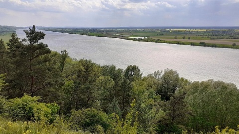 Widok z punktu widokowego w Parku Krajobrazowym Góry Łosiowe. Fot. Marek Wiśniewski/kujawsko-pomorskie.pl