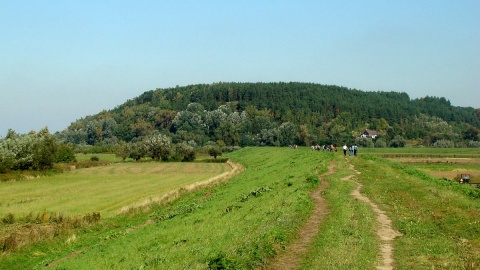 Góry Łosiowe są najmłodszym z parków w Zespole Parków Krajobrazowych nad Dolną Wisłą. Fot. facebook.com/Starostwo-Powiatowe-w-Grudziądzu