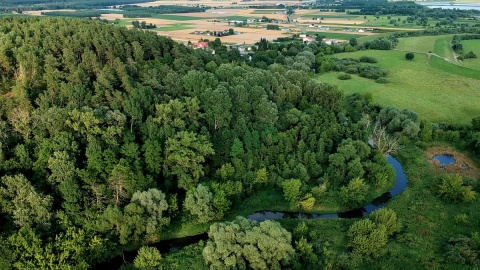 Góry Łosiowe są najmłodszym z parków w Zespole Parków Krajobrazowych nad Dolną Wisłą. Fot. facebook.com/Starostwo-Powiatowe-w-Grudziądzu