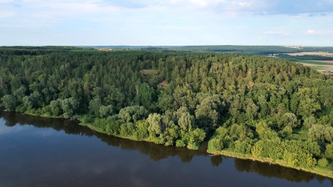 Góry Łosiowe są najmłodszym z parków w Zespole Parków Krajobrazowych nad Dolną Wisłą. Fot. facebook.com/Starostwo-Powiatowe-w-Grudziądzu