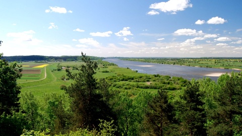 Góry Łosiowe są najmłodszym z parków w Zespole Parków Krajobrazowych nad Dolną Wisłą. Fot. facebook.com/Starostwo-Powiatowe-w-Grudziądzu