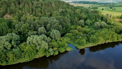 Góry Łosiowe są najmłodszym z parków w Zespole Parków Krajobrazowych nad Dolną Wisłą. Fot. facebook.com/Starostwo-Powiatowe-w-Grudziądzu