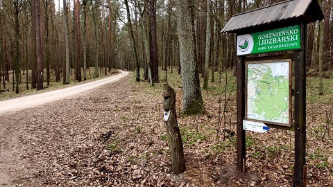 Odwiedzający ten park odnajdą wspaniałe warunki do wypraw pieszych i rowerowych. Fot. facebook.com/GorznienskoLidzbarskiParkKrajobrazowy