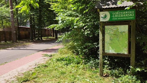 Odwiedzający ten park odnajdą wspaniałe warunki do wypraw pieszych i rowerowych. Fot. facebook.com/GorznienskoLidzbarskiParkKrajobrazowy