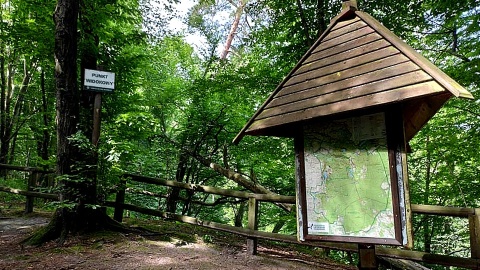 Odwiedzający ten park odnajdą wspaniałe warunki do wypraw pieszych i rowerowych. Fot. facebook.com/GorznienskoLidzbarskiParkKrajobrazowy