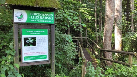 Odwiedzający ten park odnajdą wspaniałe warunki do wypraw pieszych i rowerowych. Fot. facebook.com/GorznienskoLidzbarskiParkKrajobrazowy