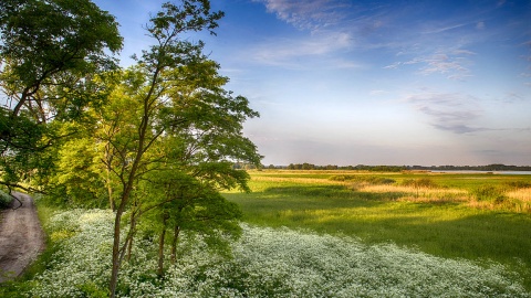 Wybierzmy się na wycieczkę rowerową wokół Gopła. Fot. facebook.com/Nadgoplański-Park-Tysiąclecia