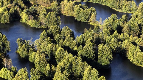 Lasy Krajeńskie. Fot. parki.kujawsko-pomorskie.pl/kpk