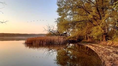 Nadgoplański Park Tysiąclecia urzeka o każde porze dnia i roku. Fot. Dorota Sajbor/facebook.com/NadgoplanskiParkTysiaclecia