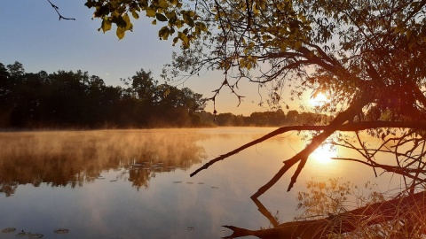 Nadgoplański Park Tysiąclecia urzeka o każde porze dnia i roku. Fot. Dorota Sajbor/facebook.com/NadgoplanskiParkTysiaclecia