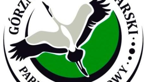 Logotyp Górznieńsko-Lidzbarskiego Parku Krajobrazowego. Żródło: facebook-com-GorznienskoLidzbarskiParkKrajobrazowy