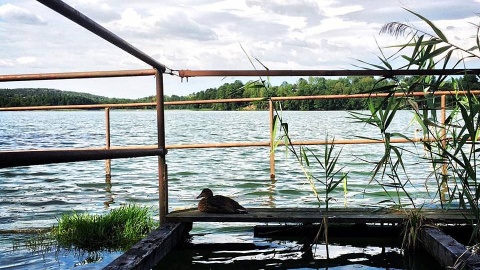 Jezioro Górznieńskie. Fot. facebook.com/mojegorzno