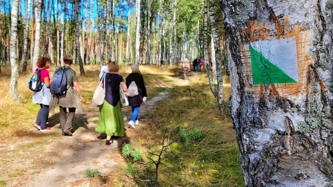 Szlaki parku są oddalone od ciągów komunikacyjnych, tak zatem Wdecki Park Krajobrazowy pełen jest parkiem „miejsc ciszy”. Fot. kujawsko-pomorskie.pl