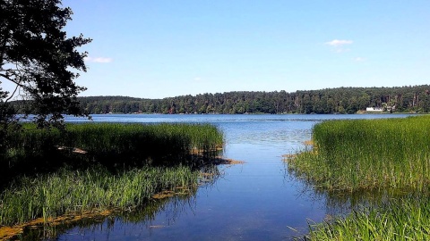 Jezioro Wielkie Partęczyny, największe jezioro Pojezierza Brodnickiego. Fot. facebook.com/Brodnicki-Park-Krajobrazowy