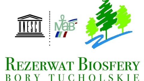 Logotyp Rezerwatu Biosfery Bory Tucholskie. Źródło: facebook.com/RezerwatBiosferyBoryTucholskie