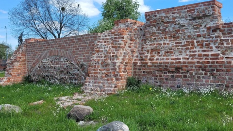 Na lewym brzegu rzeki Gąsawka odnajdujemy ruiny zamku starostów w Szubinie. Fot. fot. Kamila Czechowska/Muzeum Ziemi Szubińskiej