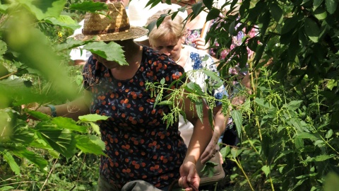 Mennonicka Pętla Smaku - spacer botaniczny. Fot. nadesłane/prywatne zbiory Piotra Lenarta