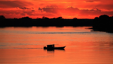 Nasuta Copernicus fot. Fot. Marcin Karasiński