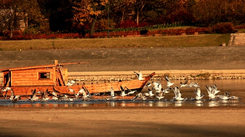 Łódź „Nasuta Copernicus”. Fot. Marcin Karasiński