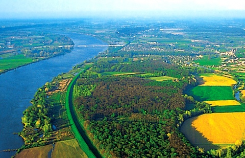 11 czerwca 2022 - Zespół Parków Krajobrazowych nad Dolną Wisłą
