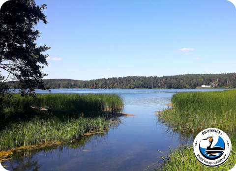 19 sierpnia 2023 - Brodnicki Park Krajobrazowy