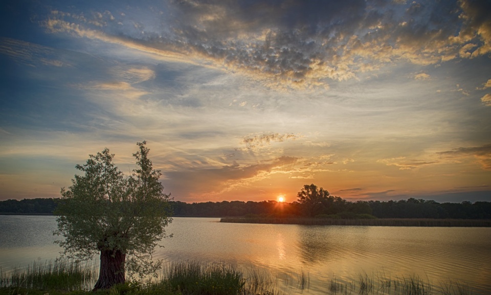 Przyroda i historia. Fot. Nadgoplański Park Tysiąclecia