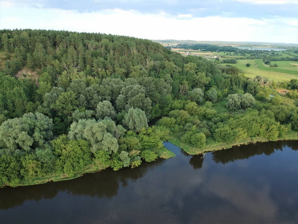 Góry Łosiowe są najmłodszym z parków w Zespole Parków Krajobrazowych nad Dolną Wisłą. Fot. facebook.com/Starostwo-Powiatowe-w-Grudziądzu