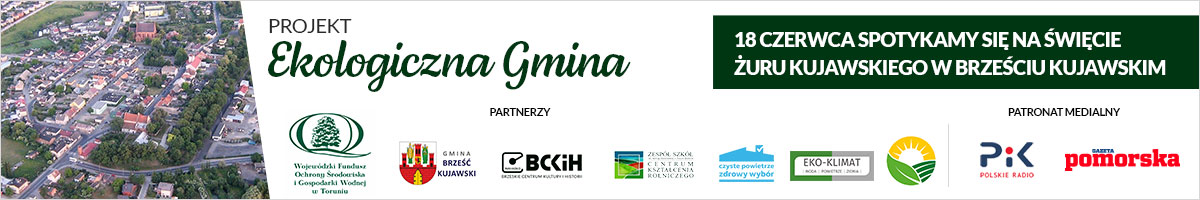 banner banner