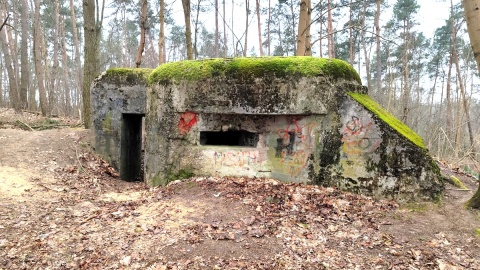 Schron w Osówcu. Fot. Żaneta Walentyn/PR PiK