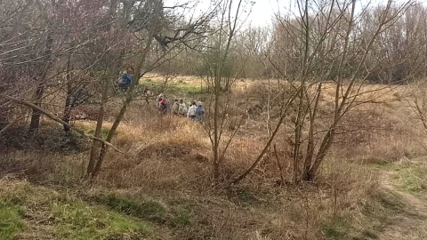 Przyrodnicza wyprawa nad toruńską Martówkę. Fot. Michał Zaręba/PR PiK
