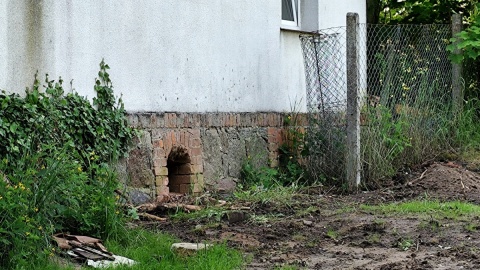 Fundamenty zabudowań folwarcznych. Fot. Żaneta Walentyn/PR PiK