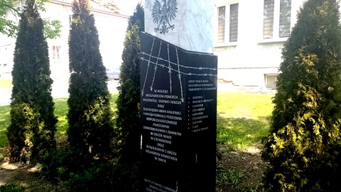 Pomnik w Ciechanowie. Fot. Michał Zaręba/PR PiK
