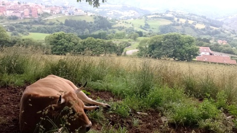 „Kilometry w głąb siebie”, w drodze do Santiago de Compostela. Fot. Michał Zaręba/arch. PR PiK
