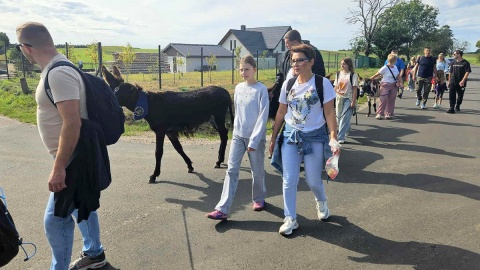 Oprócz różnych grup wsparcia i zajęć, Gabriela i Leszek Jastrzębscy organizują też wędrówki z osłami. Fot. Adrana Andrzejewskia-Kuras/PR PiK