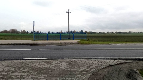 Mieszkańcy Rogówka pod Toruniem od lat apelują o budowę przejścia dla pieszych. Fot. Michał Zaręba/PR PiK