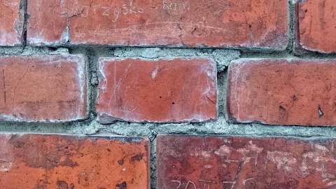 Ślady historii na murach dawnej pruskiej ujeżdżalni koni. Fot. Michał Zaręba/PR PiK