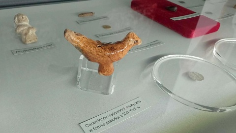 Wystawa w toruńskim Muzeum Okręgowym. Fot. Michał Zaręba/PR PiK