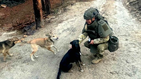 Justyna Gotowicz, wolontariuszka fundacji „W międzyczasie”, w trakcie zadań w warunkach wojennych pomaga również zwierzętom. Fot. nadesłane
