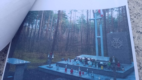 Społecznicy chcą przywrócić harcerski krzyż na mogile w Olku koło Torunia, gdzie znajdują się prochy zamordowanych przez Niemców harcerzy/fot. Michał Zaręba