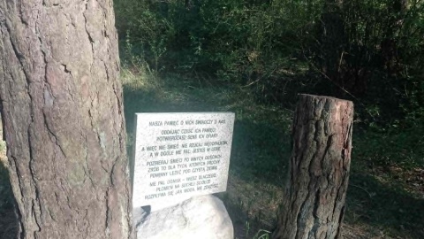 Społecznicy chcą przywrócić harcerski krzyż na mogile w Olku koło Torunia, gdzie znajdują się prochy zamordowanych przez Niemców harcerzy/fot. Michał Zaręba