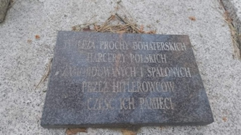 Społecznicy chcą przywrócić harcerski krzyż na mogile w Olku koło Torunia, gdzie znajdują się prochy zamordowanych przez Niemców harcerzy/fot. Michał Zaręba