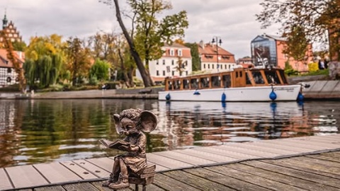Projekt Bydgoskie Myszki rozrasta się z każdym miesiącem. Fot. Bydgoskie Myszki/Facebook