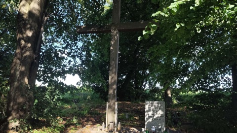 Cmentarz w Trylu/fot. nadesłane