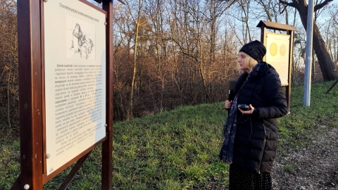 Historia zamku Sędziwoja Pałuki przy ruinach w Szubinie. Fot. Bartosz Walentyn